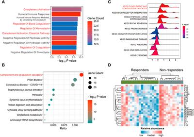 Proteomic profiling and biomarker discovery for predicting the response to PD-1 inhibitor immunotherapy in gastric cancer patients